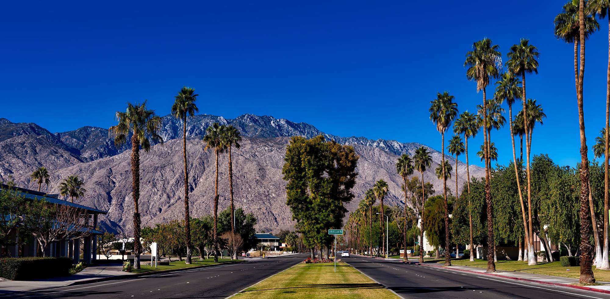 Explore Palm Springs: the top things to do, where to stay and what